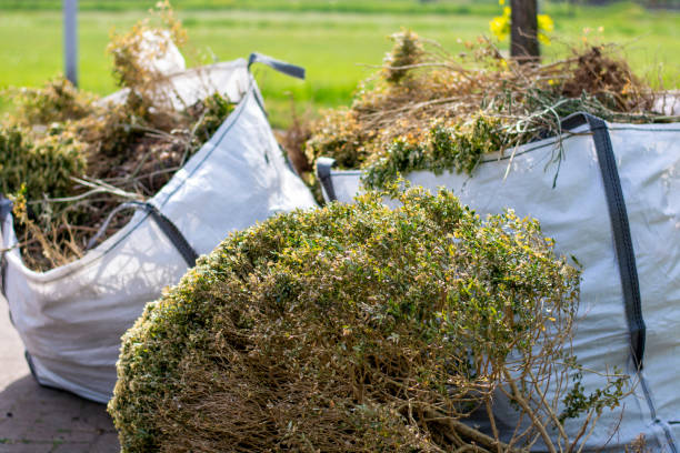 Best Dumpster Rental Services  in Hillandale, MD