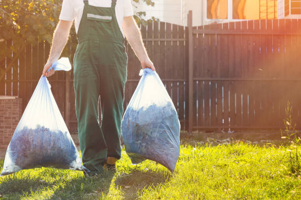 Best Yard Cleanup Services  in Hillandale, MD