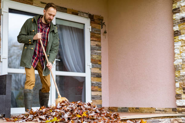 Best Electronics Removal Services  in Hillandale, MD